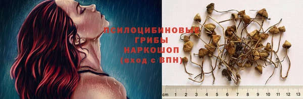 героин Пересвет