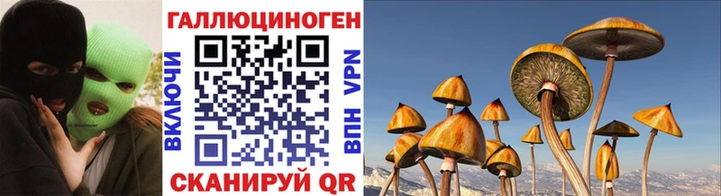 Псилоцибиновые грибы мицелий  Купить  Иваново 